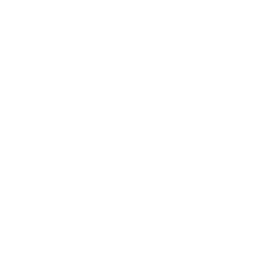 Lion Games